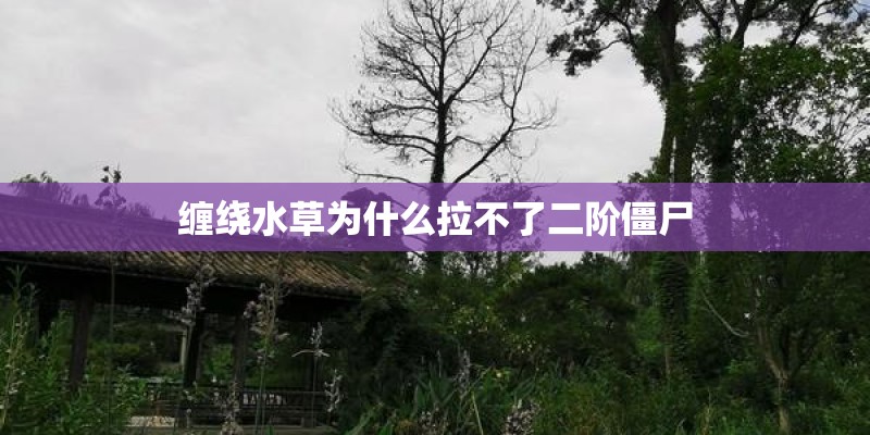 缠绕水草为什么拉不了二阶僵尸