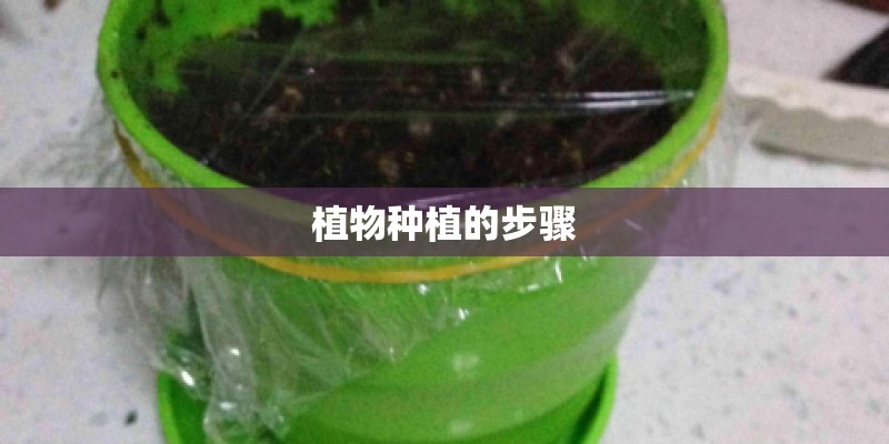 植物种植的步骤