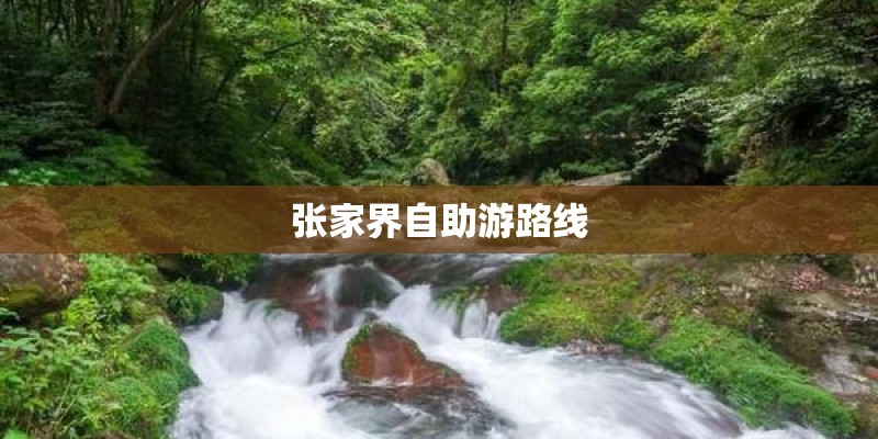 张家界自助游路线