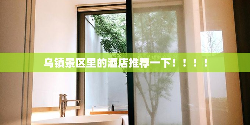 乌镇景区里的酒店推荐一下！！！！