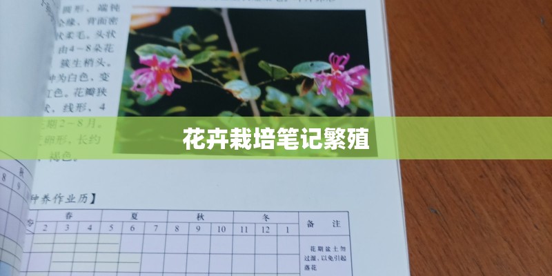 花卉栽培笔记繁殖